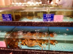 -国惠大酒楼(爱琴海购物公园店)