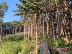 -康定跑马山风景区