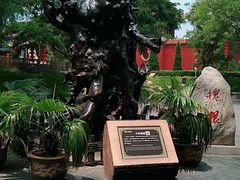 -大槐树寻根祭祖园