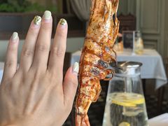 -开海·红岛海鲜虾水饺(石老人店)