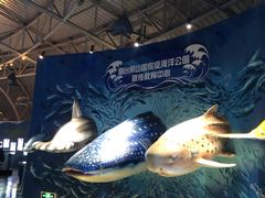 -烟台海昌鲸鲨海洋公园