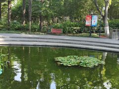 -常州古运河南大街文化旅游区-人民公园