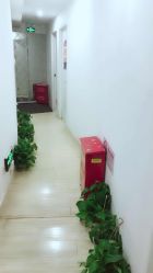 -余祖萍专业经络瘦身