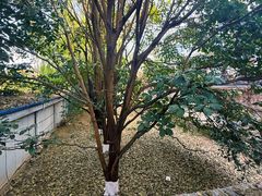 -大理床单厂艺术区