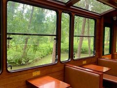 -合肥滨湖国家森林公园