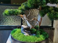 -海底捞火锅(大唐店)