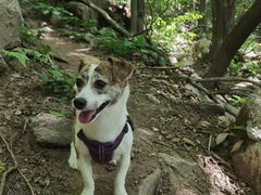 -终南山南五台景区