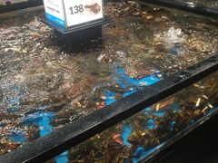 水产区-盒马鲜生(曜一城店)