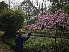 -黄公望隐居地