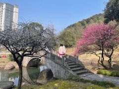-达蓬山旅游度假区