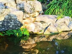 -龙头寺公园