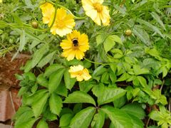 -镇江市南山风景名胜区竹林景区