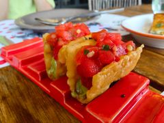 -TOMATITO(无限极荟店)