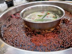 -枇杷园食为鲜火锅(南山店)