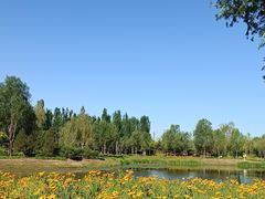 -东郊湿地公园