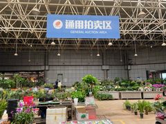 -昆明国际花卉拍卖交易中心