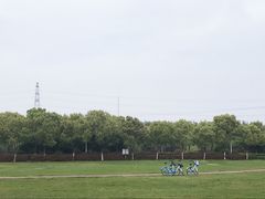 -羊山湖公园