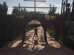 -北京呀路古热带植物园