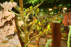 -酷嗒动物文化乐园(cutezoo西溪乐天城店)