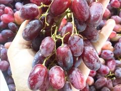 无籽提-鲜力达果品批发直销(青山店)