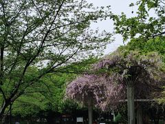 -玉山公园