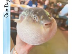 -永安鱼庄·镇江菜(东吴路店)