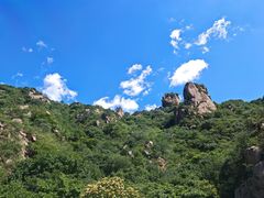 -大岭沟猕猴桃谷风景区
