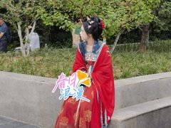 -洛阳市隋唐城遗址植物园