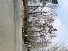 -合肥野生动物园