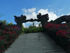 -东南花都花博园