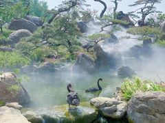 -罗红摄影艺术馆