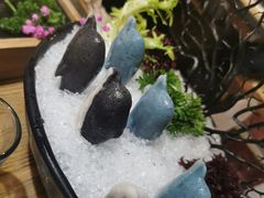 海豚丸-湊湊火锅·茶憩(上海合生汇店)