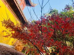 -圆通寺