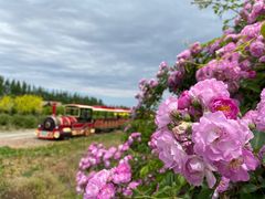 -渔岛海洋度假区