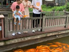 -枫香湖儿童公园