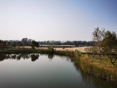 -东郊湿地公园