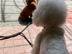 -大海别墅民宿农家院(十渡店)