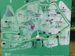 -荷塘月色湿地公园·向阳花洲