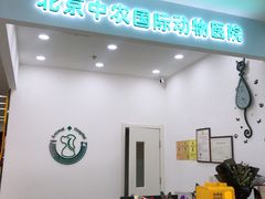 -中农国际动物医院24小时·猫科·骨科·急重症中心