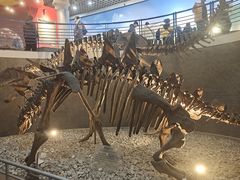 -国家自然博物馆