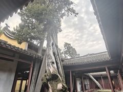 -太平天国侍王府