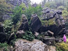 -梭布垭石林景区