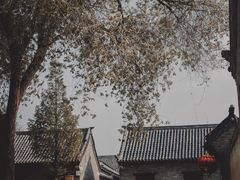 -杨家埠民间艺术大观园