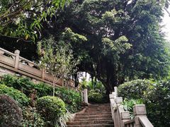 -船政文化景区-罗星塔公园