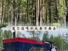 -莫尔道嘎国家森林公园