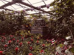 -南宫五洲植物乐园