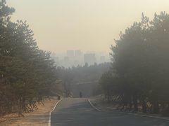 -红山国家森林公园