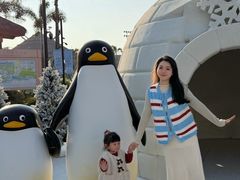 -汕头中海黄金海岸水上乐园