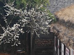 -田德能咖啡博物馆