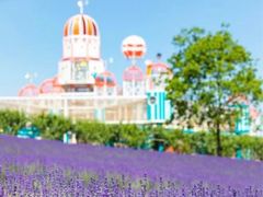 -季高兔窝窝亲子园(上海薰衣草公园店)